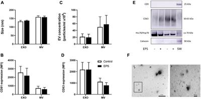 Distinct microRNA and protein profiles of extracellular vesicles secreted from myotubes from morbidly obese donors with type 2 diabetes in response to electrical pulse stimulation